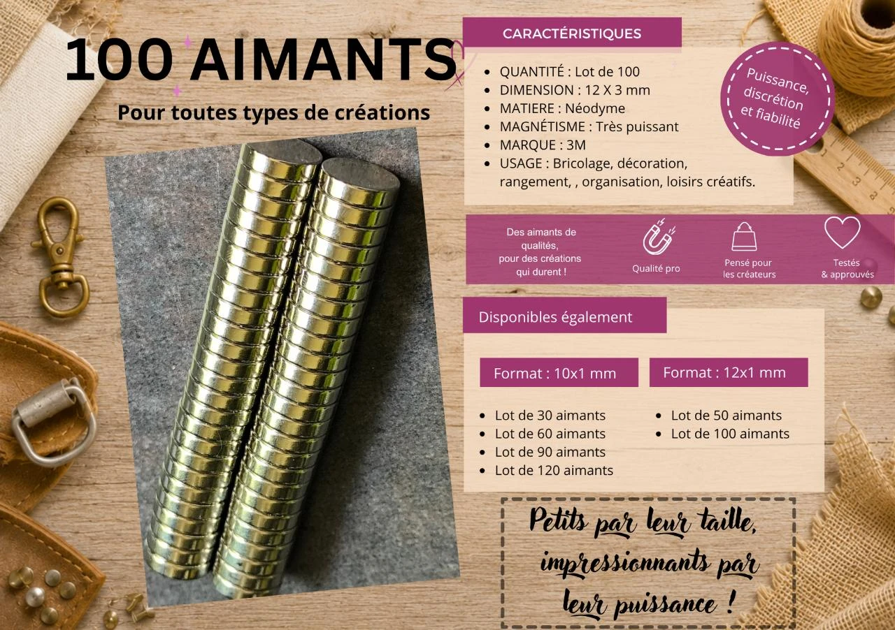 Lot de 100 aimants très puissants en néodyme 12mm